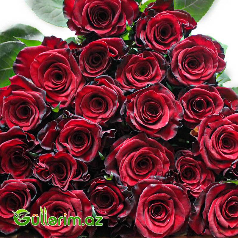 Qızılgül dəstəsi (Qizilgul)