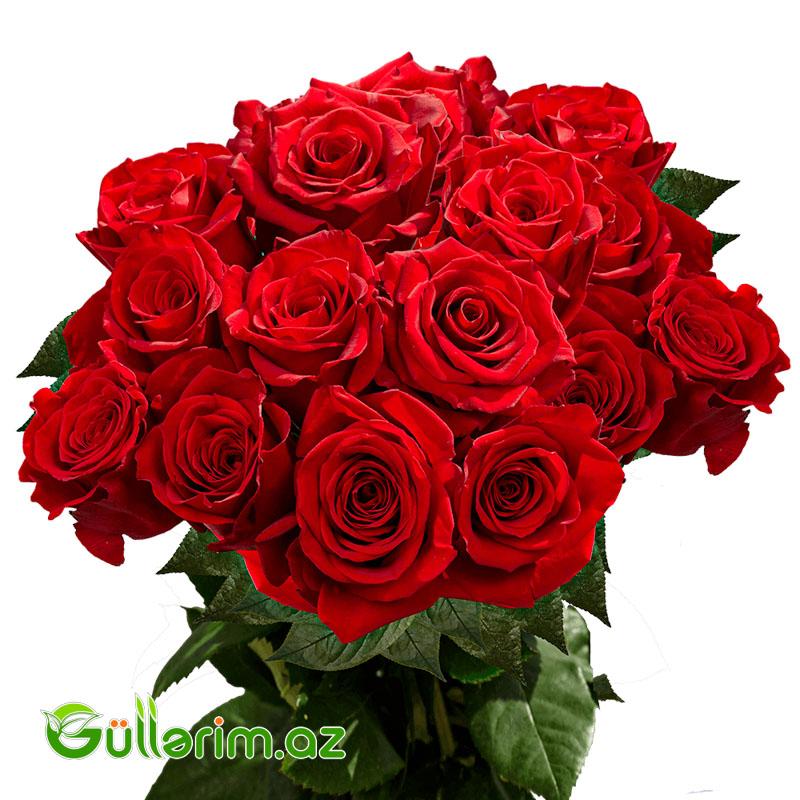 Qızılgül dəstəsi (Qizilgul)