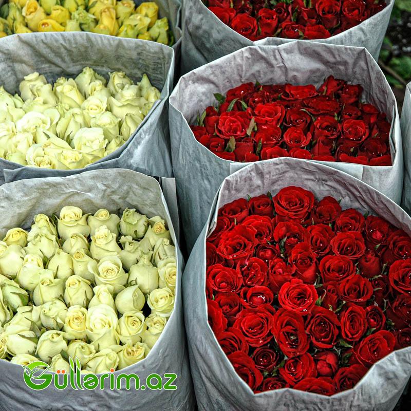 Qızılgül dəstəsi (Qizilgul)