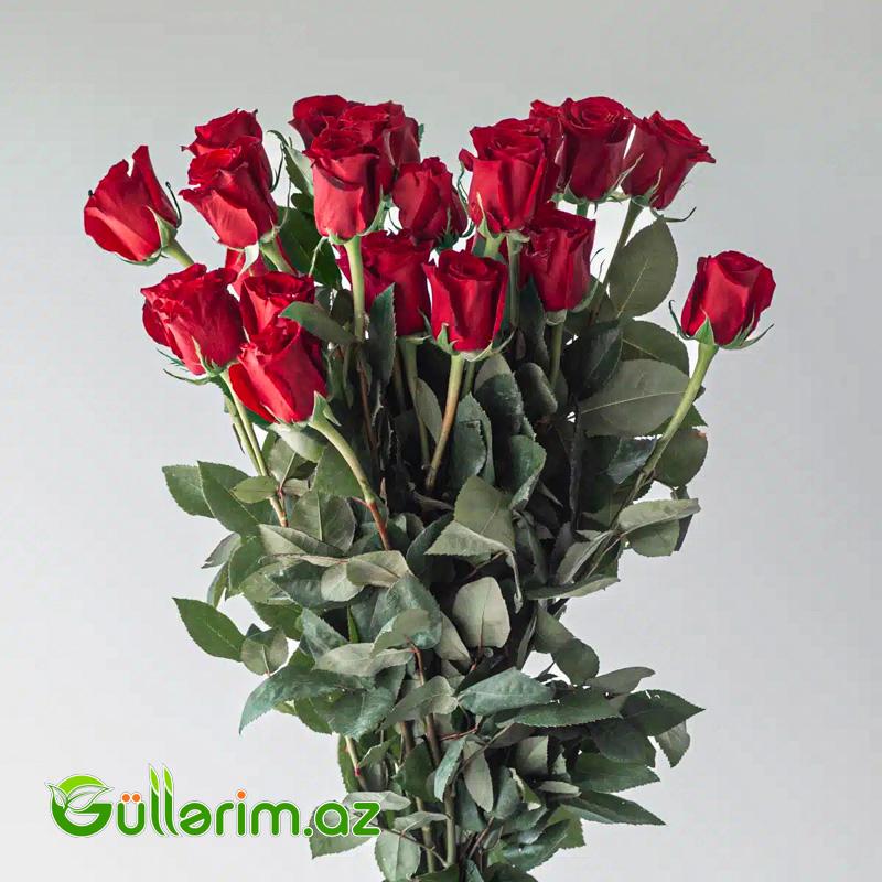 Qızılgül dəstəsi (Qizilgul)