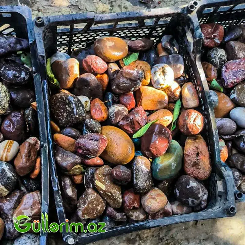 Təbii çay daşları ()Cay dasi)