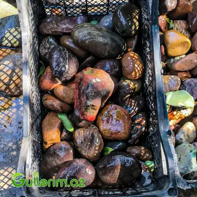 Təbii çay daşları ()Cay dasi)