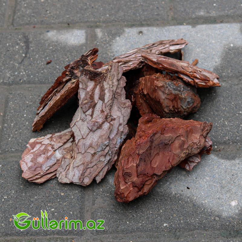 Dekorativ şam qabığı