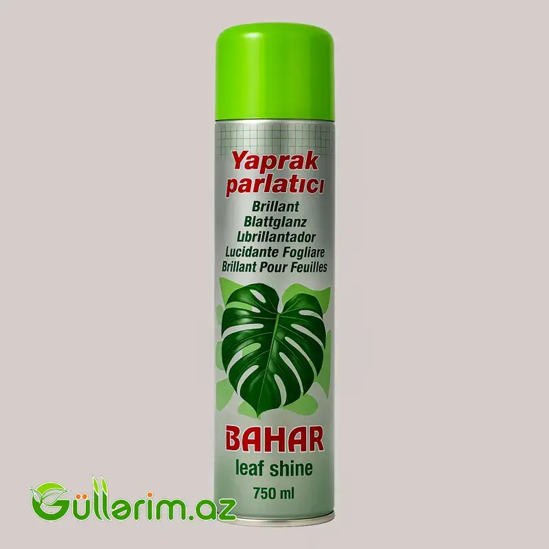 Yarpaq Parladıcı Sprey (Bahar Leaf Shine)