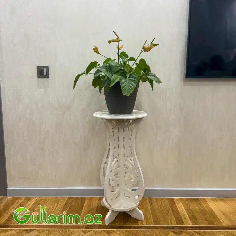 Dibçək altlıq ağ