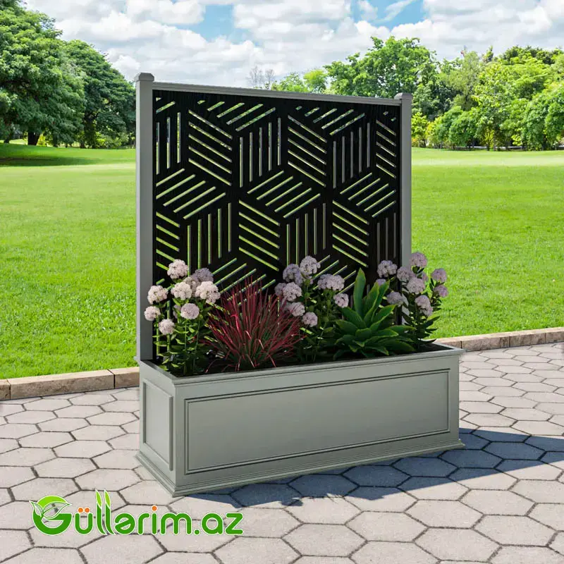 Dekorativ dibçək MTL-SEDFI