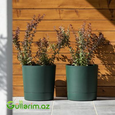 Lamela Plastik Dibçək 001