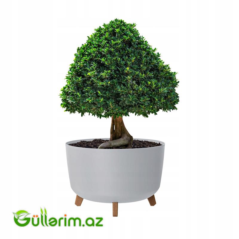 Lamela Dibçək (Ayaqlı Model)