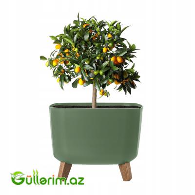 Lamela Dibçək (Ayaqlı Model)