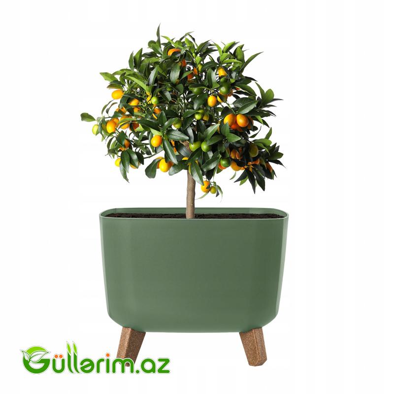 Lamela Dibçək (Ayaqlı Model)