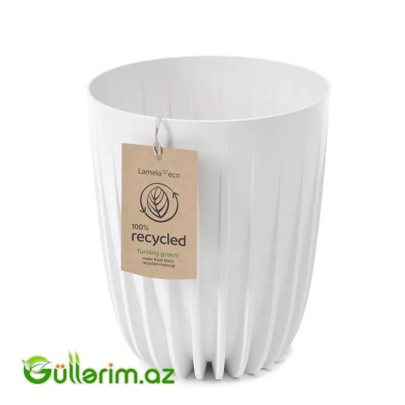 Lamela ECO Dibçək