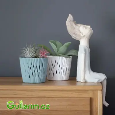 Prosperplast Dibçək