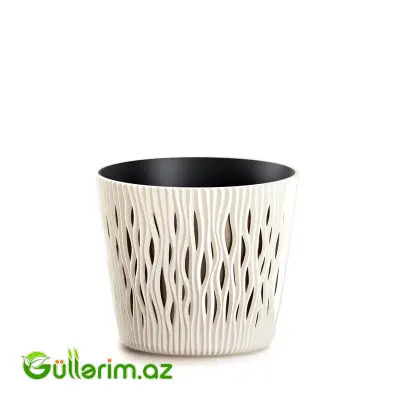 Prosperplast Dibçək