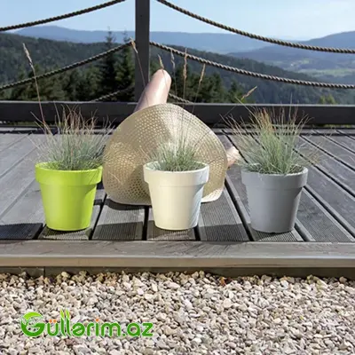 Plastik Dibçək 024