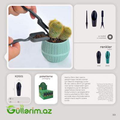 Dekorativ Plastik Dibçək