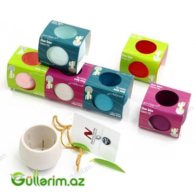 Dekorativ Plastik Dibçək