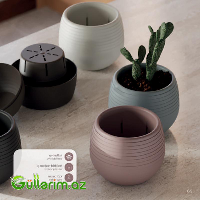 Dekorativ Plastik Dibçək