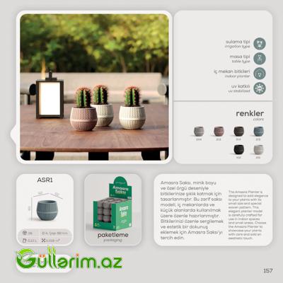 Dekorativ Plastik Dibçək