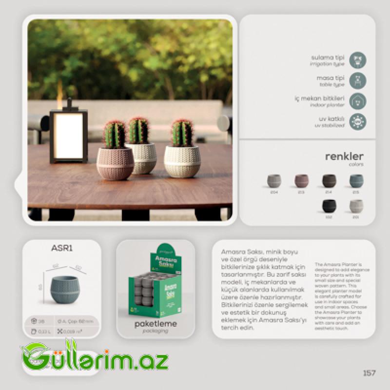 Dekorativ Plastik Dibçək