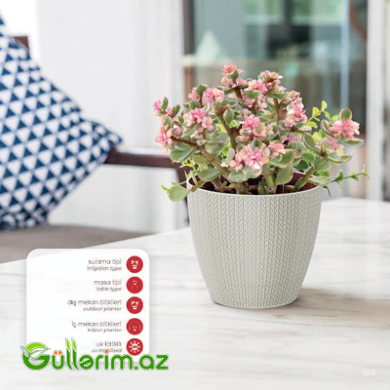 Plastik Dibçək 010