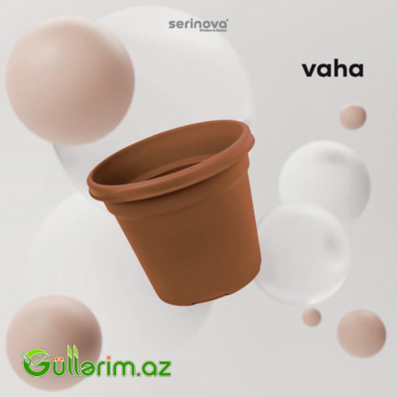 Plastik Dibçək 014