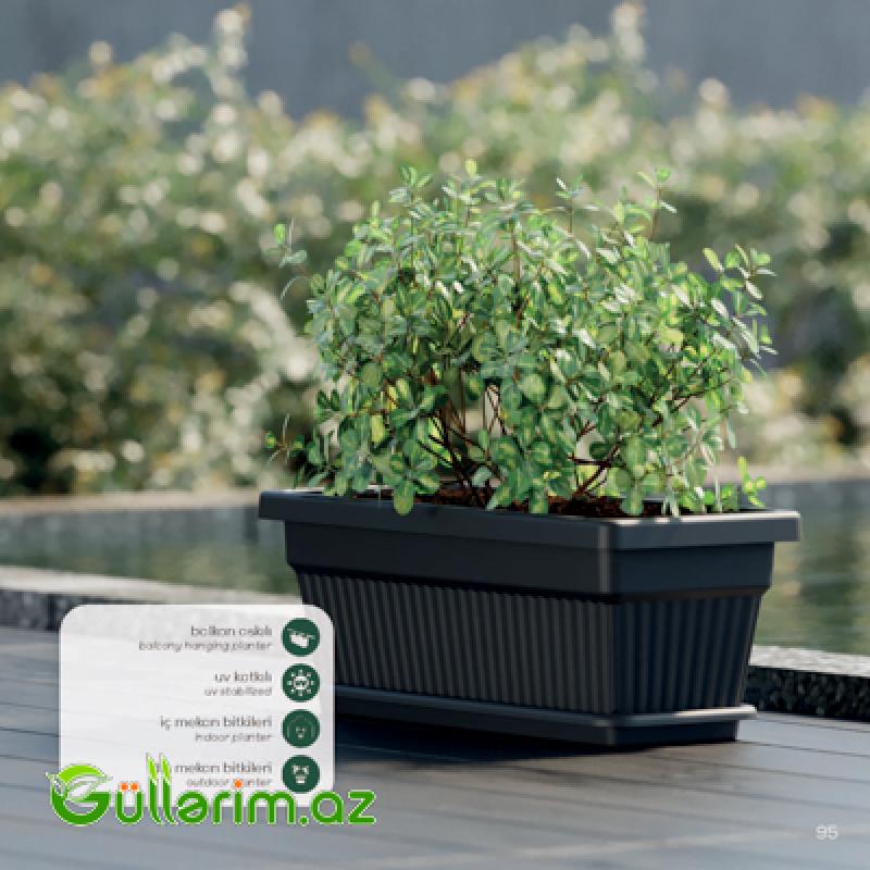 Plastik Dibçək 015