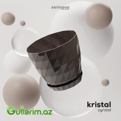 Plastik Dibçək 020