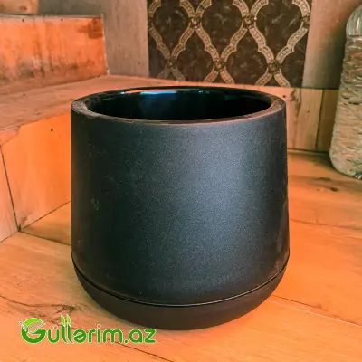 Plastik Dibçək 025