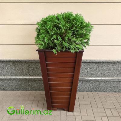 Taxta dibçək (Əl işi) № 030