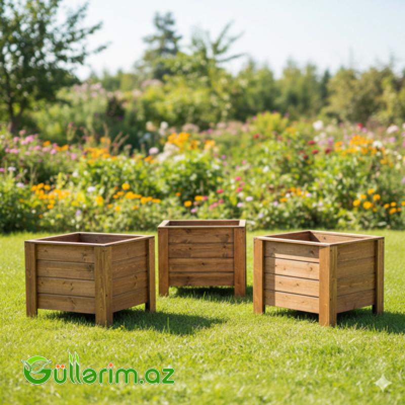 Taxta dibçək (Əl işi) № 031