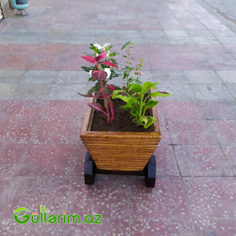 Taxta dibçək (Əl işi) № 09