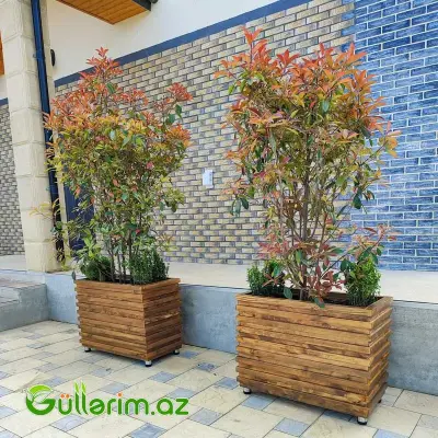 Taxta dibçək (Əl işi) № 015