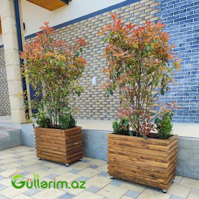 Taxta dibçək (Əl işi) № 018