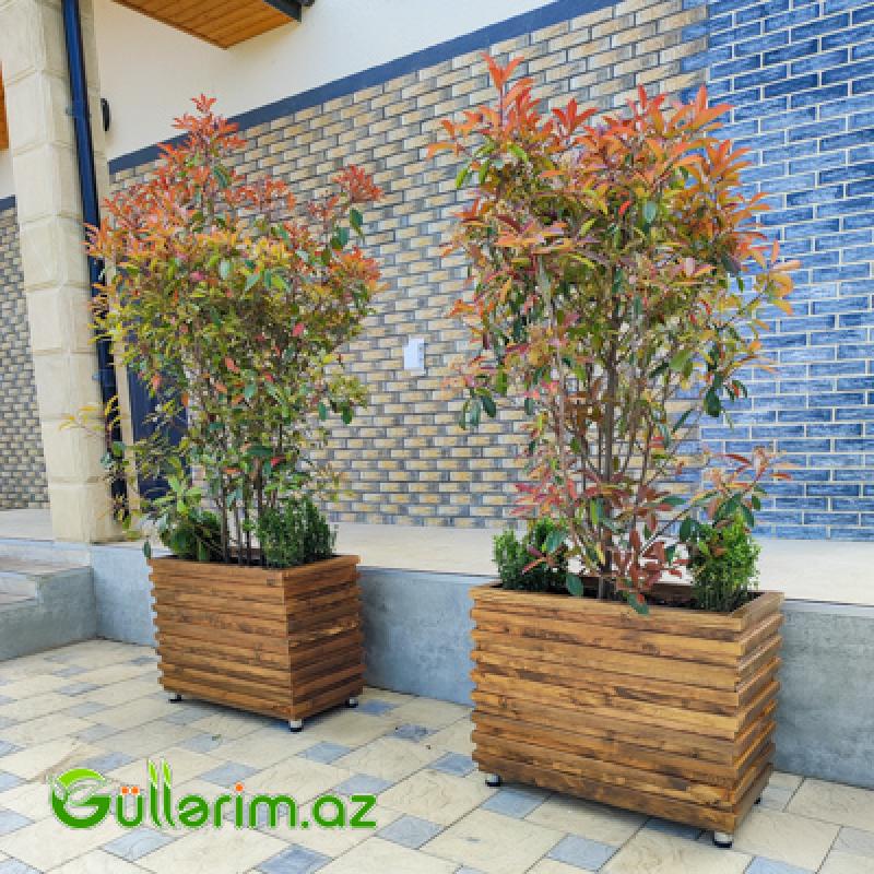 Taxta dibçək (Əl işi) № 018