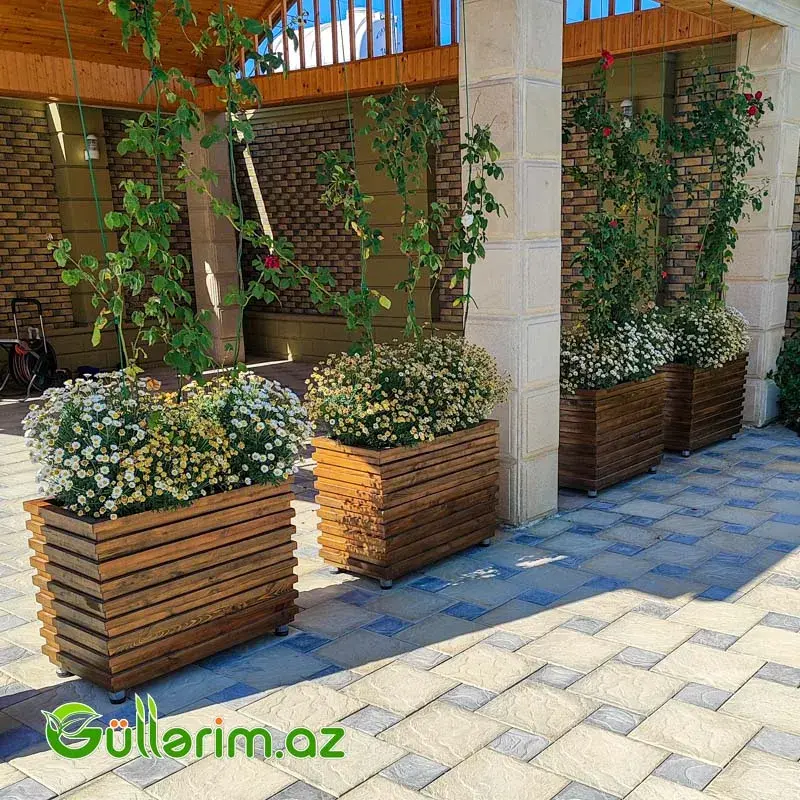 Taxta dibçək (Əl işi) № 015