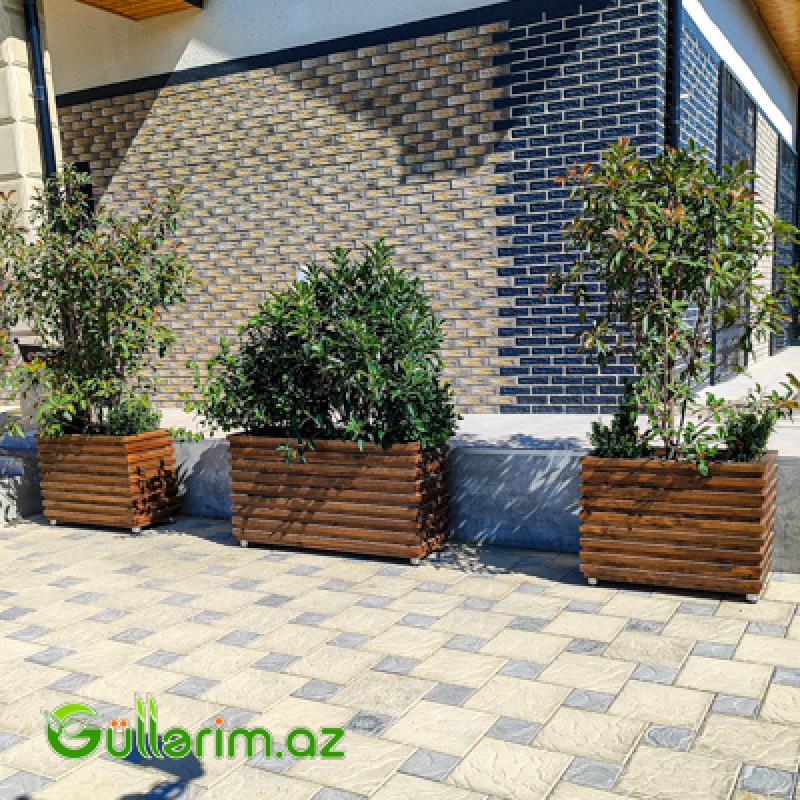 Taxta dibçək (Əl işi) № 015