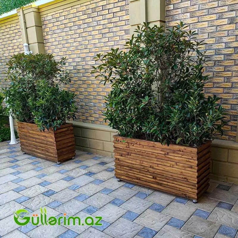 Taxta dibçək (Əl işi) № 010