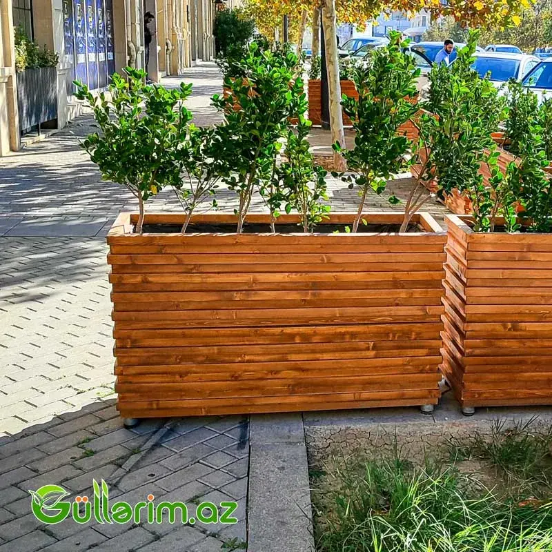 Taxta dibçək (Əl işi) № 015