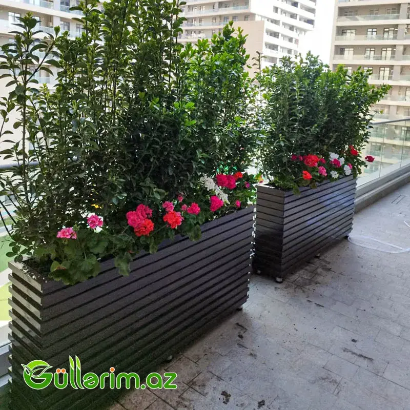 Taxta dibçək (Əl işi) № 05