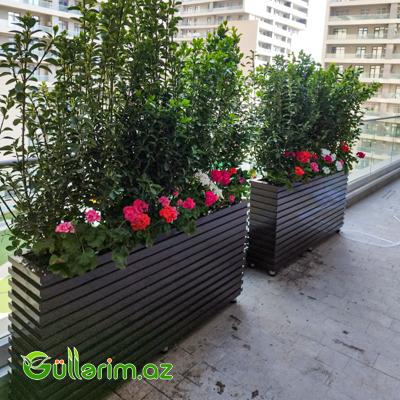 Taxta dibçək (Əl işi) № 020