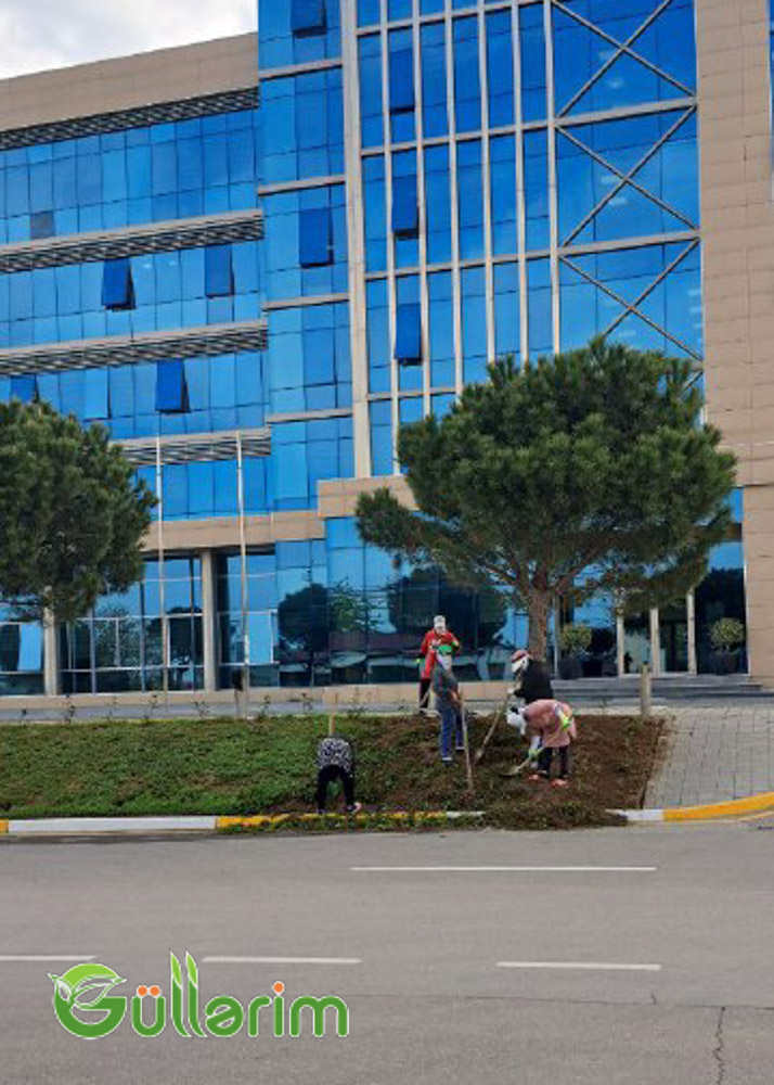 socar-12.jpg