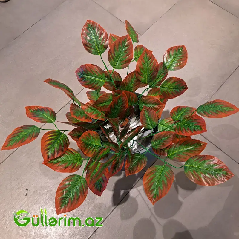 Süni Çinar yarpaqlı