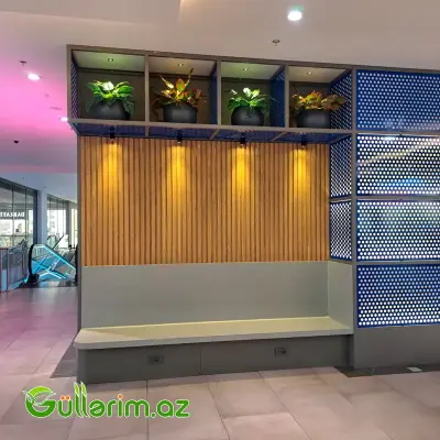 Süni Çinar yarpaqlı