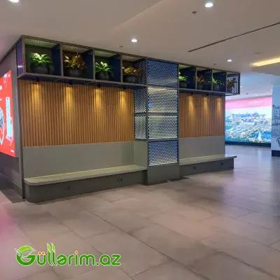 Süni Çinar yarpaqlı