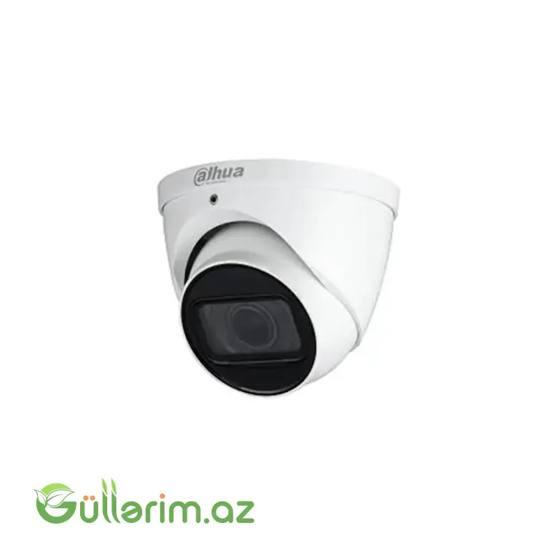 Dahua 2MP Smart Dual Light Eyeball (Dome) Kamera