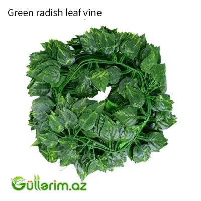 Dekorativ Sarmaşıq