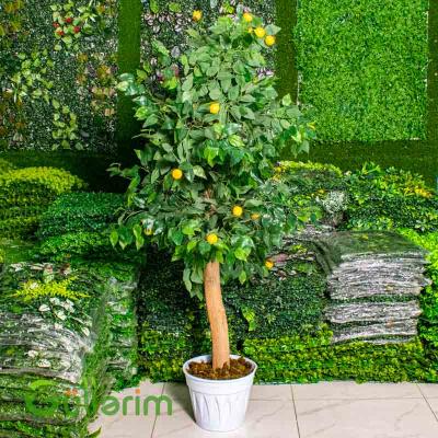 Süni Limon Ağacı