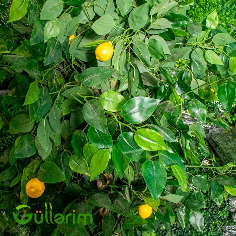 Süni Limon Ağacı