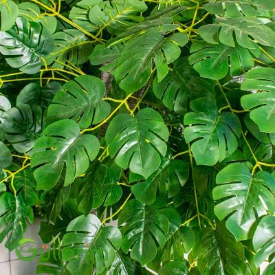 Süni Monstera Bitkisi