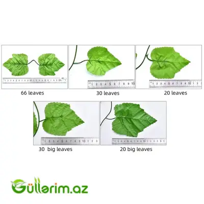 Dekorativ Sarmaşıq